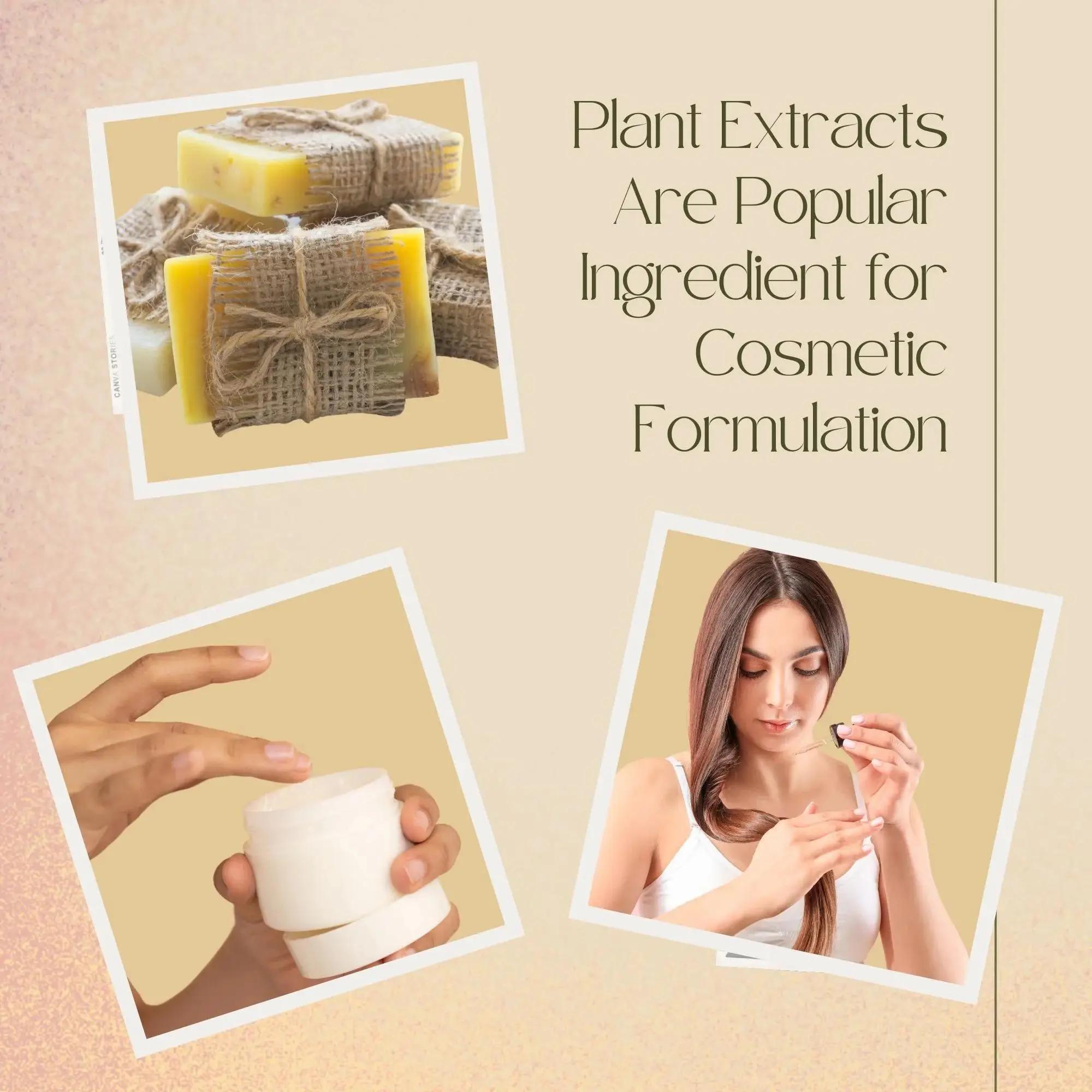 High Quality Soapberry Extract - Hair Care For Hair Loss recension och pris