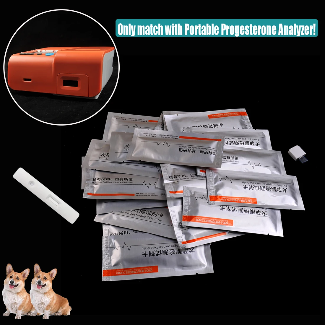 Canine Progesterone Test Strip - Hair Porosity Test recension och pris
